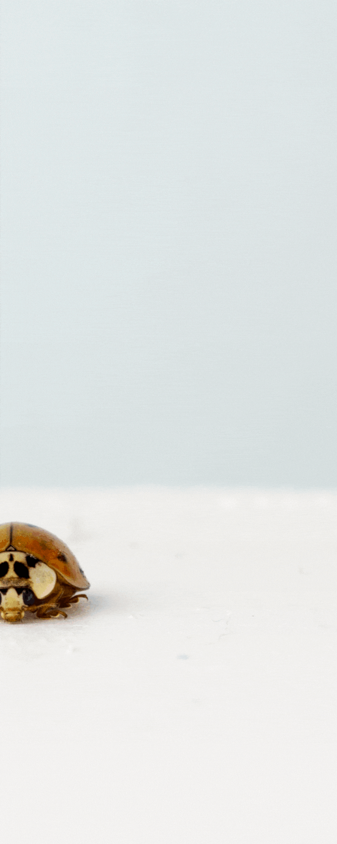 tien-ich-tra-cuu-thong-tin-khach-hang